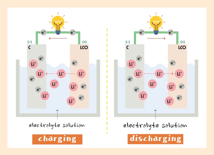 cathode and anode charge cathode and anode charge