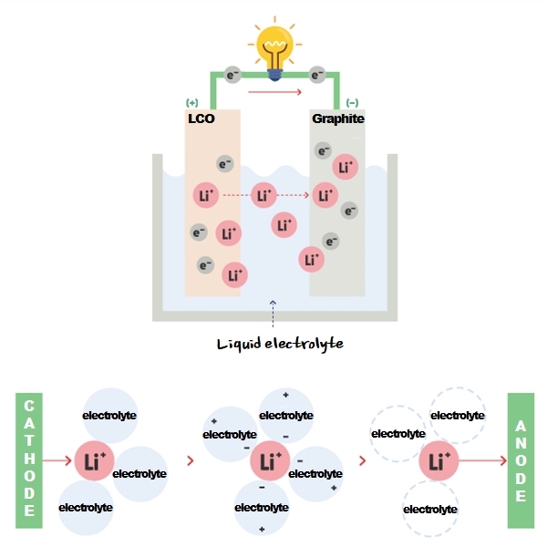 function of electrolytes